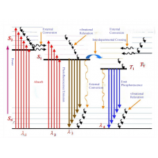 Fluorescence Principles and Analysis Techniques