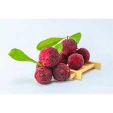 IR2100 Measuring The Sweetness Of Bayberry With Online NIR Spectrometer