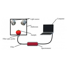 Spectrometer In Agriculture：Non Destructive Detect For Fruit Maturity And Brix