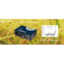 Detecting Wheat Leaf Chlorophyll Content with Non-destructive Spectroscopy