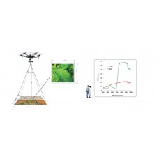 Estimation of Corn Yied Base on Hyperspectral Imaging