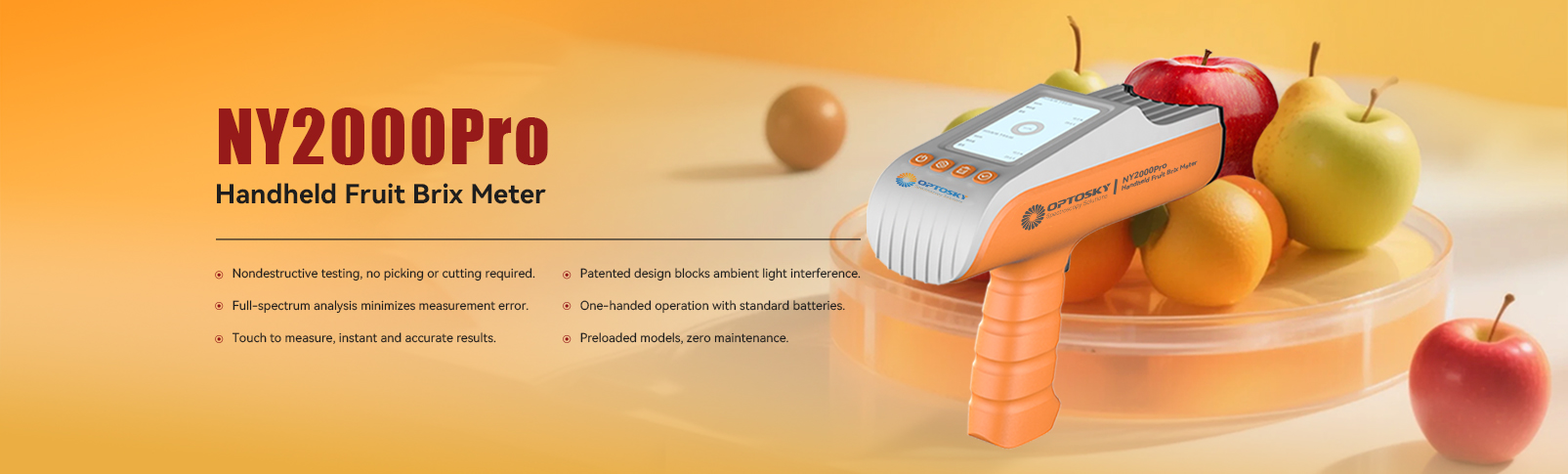 NY2000PRO